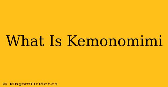 What Is Kemonomimi