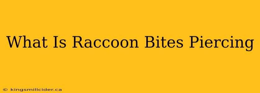 What Is Raccoon Bites Piercing