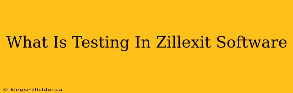 What Is Testing In Zillexit Software