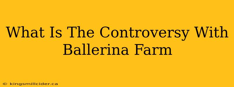 What Is The Controversy With Ballerina Farm