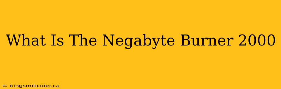 What Is The Negabyte Burner 2000