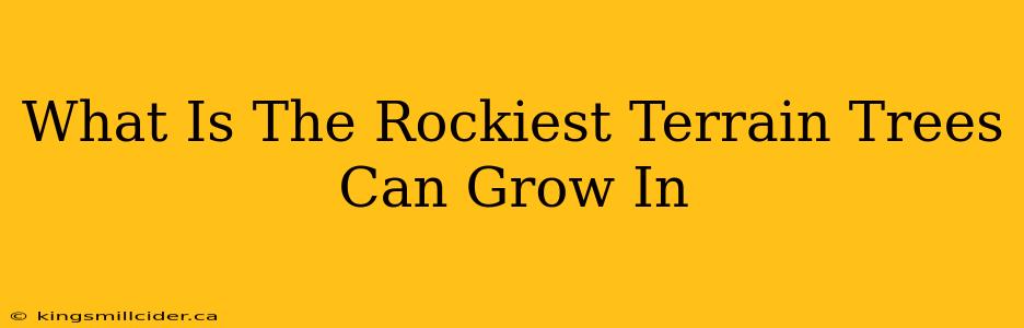 What Is The Rockiest Terrain Trees Can Grow In