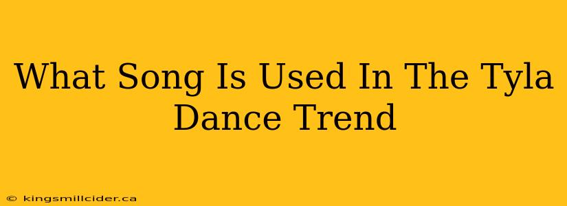 What Song Is Used In The Tyla Dance Trend