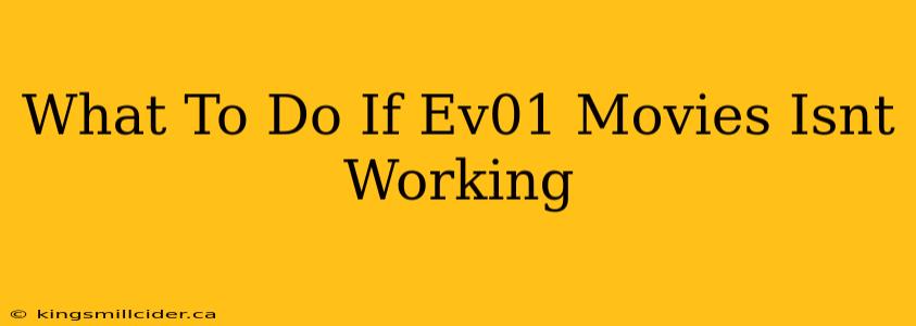 What To Do If Ev01 Movies Isnt Working