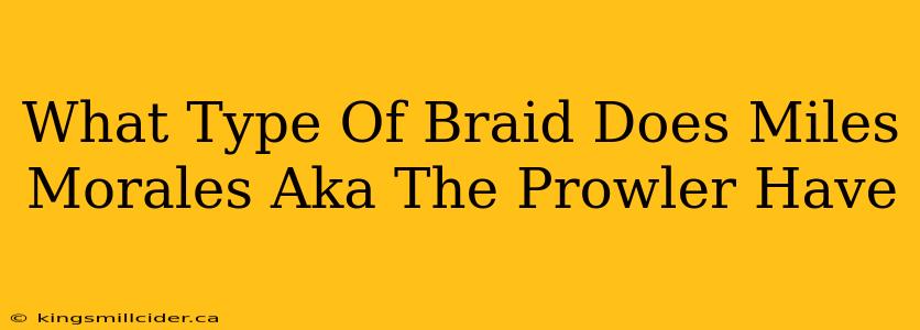 What Type Of Braid Does Miles Morales Aka The Prowler Have