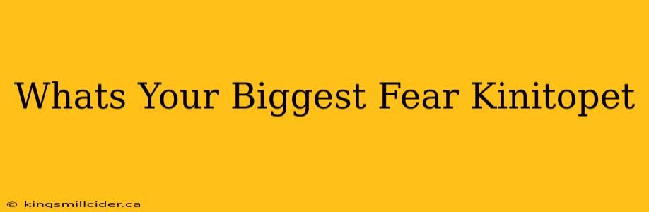 Whats Your Biggest Fear Kinitopet