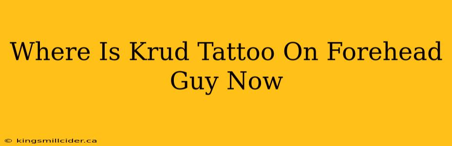 Where Is Krud Tattoo On Forehead Guy Now