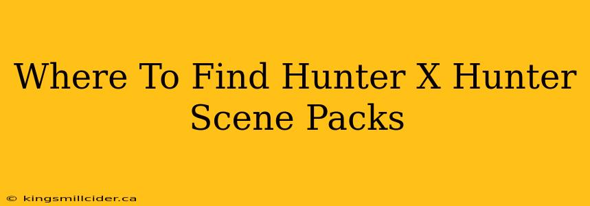 Where To Find Hunter X Hunter Scene Packs