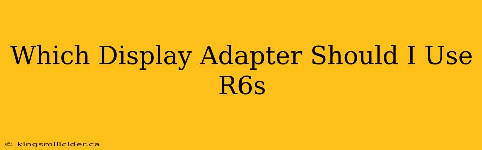 Which Display Adapter Should I Use R6s