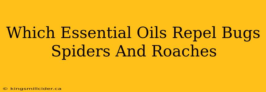 Which Essential Oils Repel Bugs Spiders And Roaches