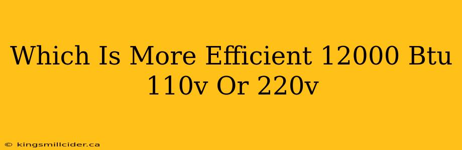 Which Is More Efficient 12000 Btu 110v Or 220v