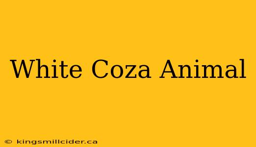 White Coza Animal