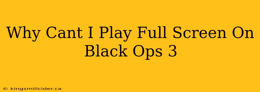 Why Cant I Play Full Screen On Black Ops 3