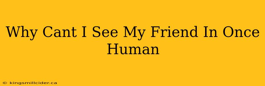 Why Cant I See My Friend In Once Human