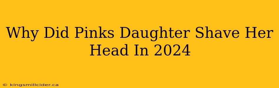 Why Did Pinks Daughter Shave Her Head In 2024