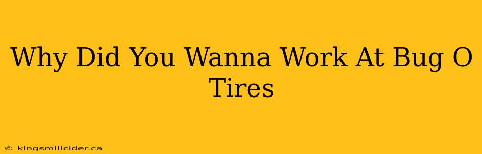 Why Did You Wanna Work At Bug O Tires