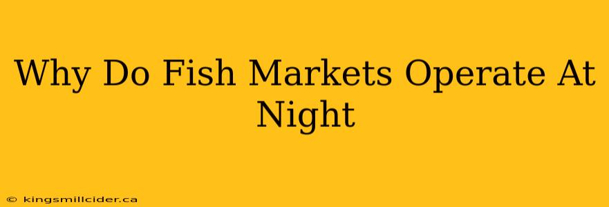 Why Do Fish Markets Operate At Night