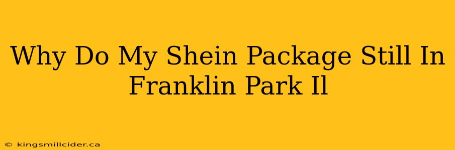 Why Do My Shein Package Still In Franklin Park Il