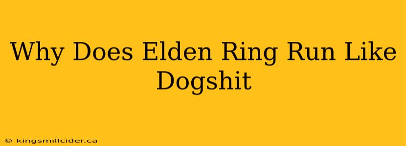 Why Does Elden Ring Run Like Dogshit