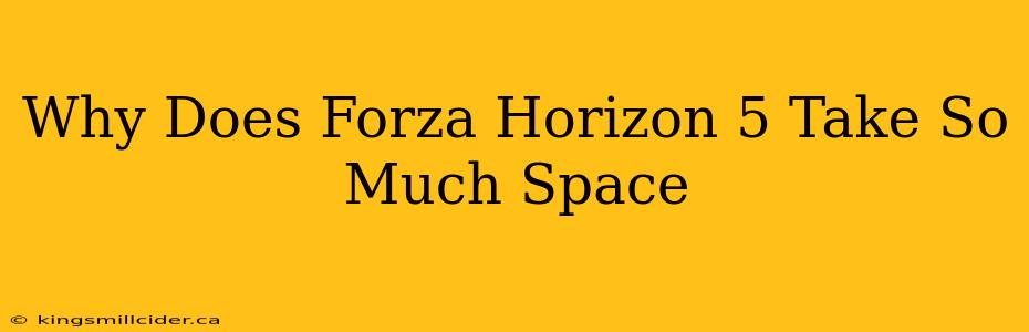 Why Does Forza Horizon 5 Take So Much Space