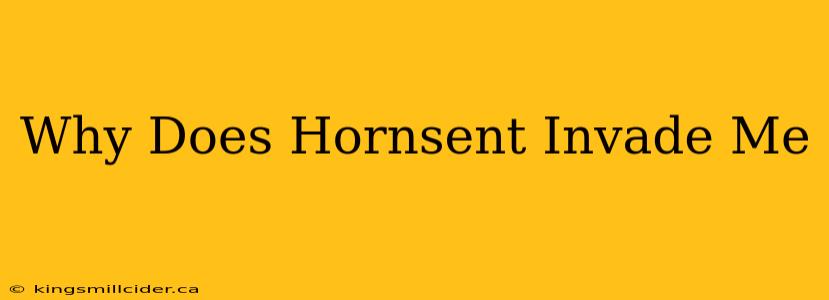 Why Does Hornsent Invade Me