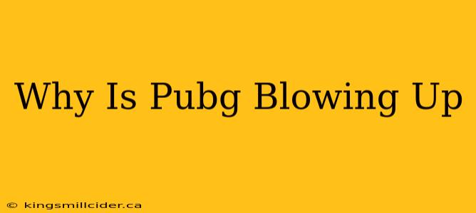 Why Is Pubg Blowing Up