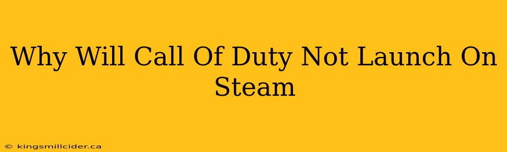 Why Will Call Of Duty Not Launch On Steam