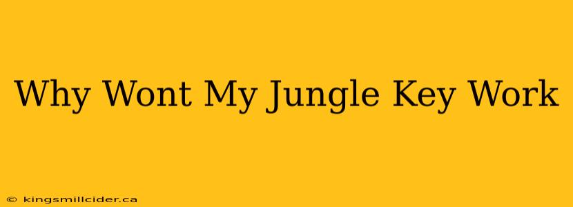 Why Wont My Jungle Key Work