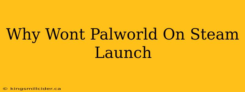 Why Wont Palworld On Steam Launch