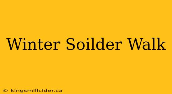 Winter Soilder Walk