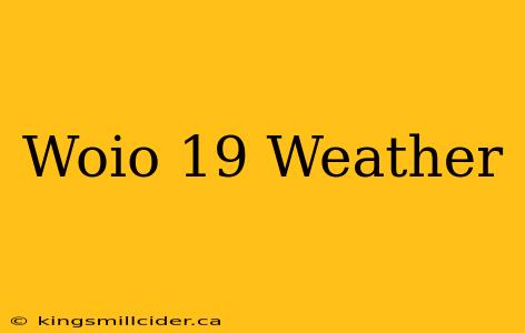 Woio 19 Weather