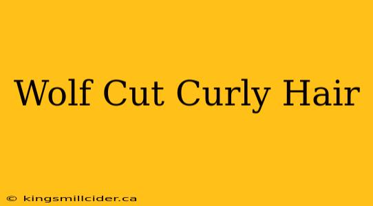 Wolf Cut Curly Hair