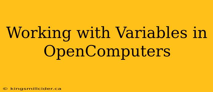 Working with Variables in OpenComputers