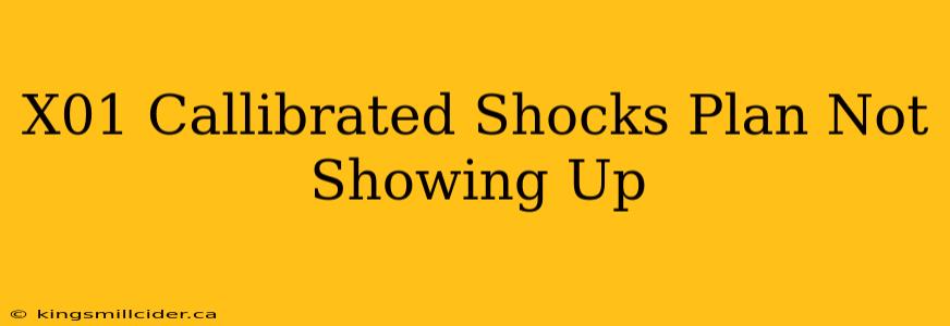 X01 Callibrated Shocks Plan Not Showing Up