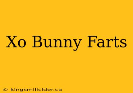 Xo Bunny Farts