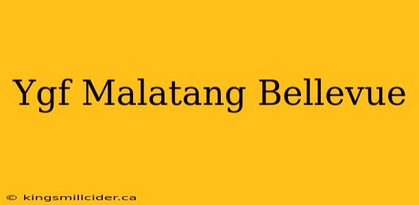 Ygf Malatang Bellevue