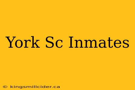 York Sc Inmates