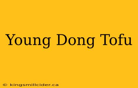 Young Dong Tofu