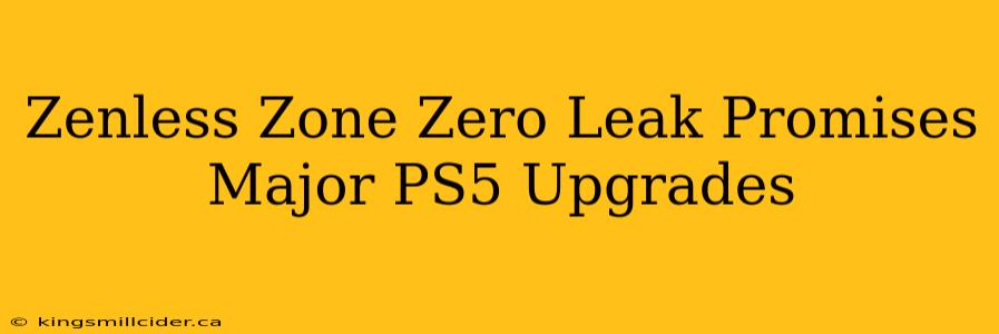 Zenless Zone Zero Leak Promises Major PS5 Upgrades