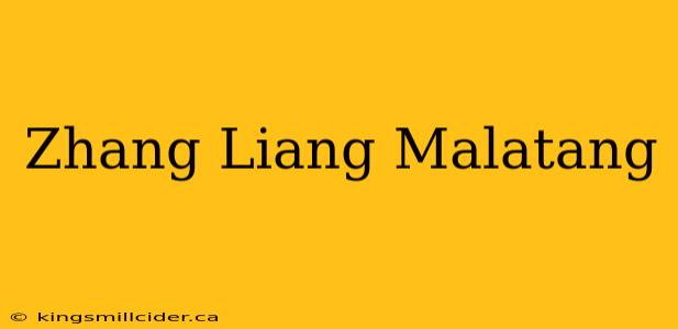 Zhang Liang Malatang