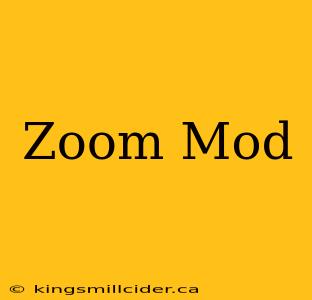 Zoom Mod